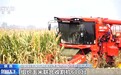 科学调度农业机械、加大生产基地扶持力度……各地多举措确保秋收进度