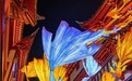 首次跨国举办!豫园灯会“点亮”巴黎