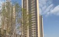 看房人太多开发商挡客!深圳“首付30万”楼盘火出圈,曾涉“首付贷”被约谈