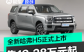 全新哈弗H5正式上市 售12.28万元起