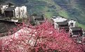 社会“认养”唤醒“中国最美乡村”