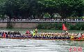 福州:民众端午享受划龙舟乐趣