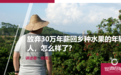 那个放弃30万年薪回乡种水果的年轻人,怎么样了?