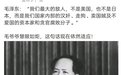 胡锡进:在国内要揪出一个比美日还要凶狠的卖国、敌对集团,严重与现实不符