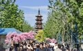 城事|上海龙华庙会时隔8年重启,五一参与人数逾6万人次