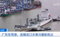 我国进口水果运输渠道拓宽 老百姓“果篮子”种类多样
