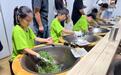 西湖龙井茶文化薪火相传 “10后”小茶人乐学手工炒茶技艺