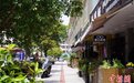 访侨乡温州:小小街道分布近50家咖啡馆