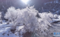 云南普达措:雪霁初晴 银装素裹分外美丽