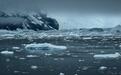 南极海冰面积创新低,科学家:南极生态系统或发生根本性改变