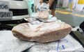 海关查获走私冻牛肉692公斤