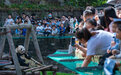 直击|过节,重庆熊猫天团“围炉吃果”共享大餐