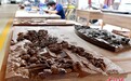 福建仙游:“仙作”古典工艺家具展新姿