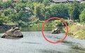 坠落旭水河近百年,自贡水中“菩萨石”该如何保护?