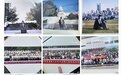 官方通报“北极鲶鱼事件”:深圳市原交通局货运管理分局局长钟庚赐被开除党籍