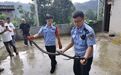 眼镜蛇“误闯”厨房,还好民警及时赶到