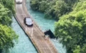 网红浮桥“翻车”致5人遇难,怪桥还是怪车?