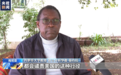 肯尼亚学者:美向乌运送集束弹药非常危险且不负责任
