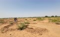 《联合国防治荒漠化公约》秘书处官员:中国治沙经验有益于世界绿色发展