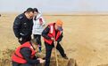 洞庭湖唐宋古墓葬遭盗掘:3人用铁锹耙刀挖木棺