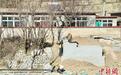 供排水设施升级 北京房山148个村供水能力恢复至灾前水平