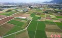 俯瞰福州蔬菜花卉种植基地:宛如大地调色板