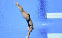 跳水——女子1米跳板决赛赛况
