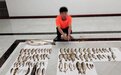 又是电鱼!重庆警方连续破获多起非法捕捞水产品案件