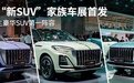 红旗“新SUV”家族车展首发 打造自主豪华SUV第一阵容