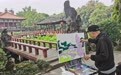 爱成都迎大运,40余位油画名家“望丛祠”采风