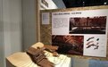 “木构新景”展武汉开幕 展现木结构建筑生命力