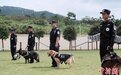 广西上百名学生参观警犬训练营 与可爱“警察”亲密互动