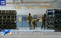 联合国官员:美国是以色列在加沙所作所为的“帮凶”