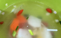 中国药科大学食堂的汤里有多种药材?食堂回应:结合药学特色推出二十四节气汤