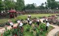 武汉“五一”开启乡村田园嘉年华,融合助力乡村振兴
