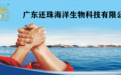 广东还珠:开拓海洋大健康产业新路径,打响湛江珍珠与生蚝品牌