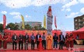 南非约翰内斯堡第一唐人街石雕龙柱成功修复