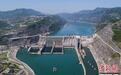 2024年向家坝—三峡水库联合生态调度试验启动