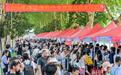 5万人赶场极目新闻首场公益高招咨询会