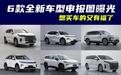 6款全新车型申报图曝光!年底想买车的赶紧攒钱