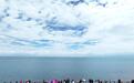 夏日青海湖生机勃勃