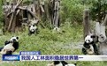 我国绿色发展成果如何?感受数据里的“绿水青山”