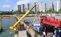图集|历时145天,被救助短肢领航鲸“海棠”回归大海