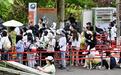 “福宝”亮相首日的中外游客:有人守候神树坪多日,有人专程从昆明飞来