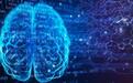 新型AI模型预测阿尔茨海默病准确率达82%,可有效减少误诊
