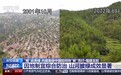 时空观察丨“植”此青绿 共建美丽中国如何向“新”而行?