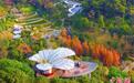 探访广州云萝植物园:保育乡土和珍稀植物1500余种