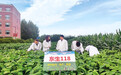 瞭望|分子育种选出“金豆子”