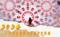 文化中国行|2024,我们共同见证的这些文化风尚