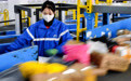 “不打烊、不积压” 快递服务“不减速”